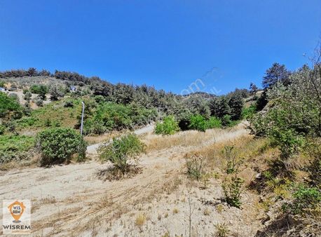 Köprübaşı'nda 988 M2 Yol, Su, Elektrik Olan Yapı Yeri Hazır Arsa