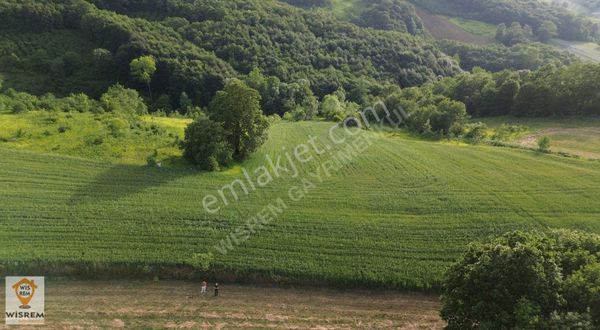 Kocaeli İzmit Bulduk Mahallesinde Satılık Tarla