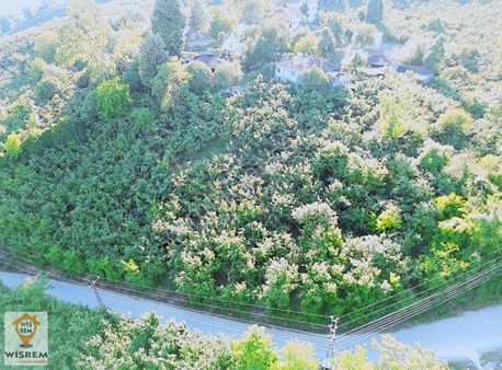 Düzce Yeniaynalı'da 4 Parsel 2 Kat Konut İmarlı Satılık Arsa