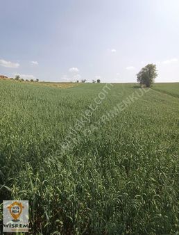 Bolu Göynük Kızılkuyu Köyün De Köy İçi İmarlı Arsa