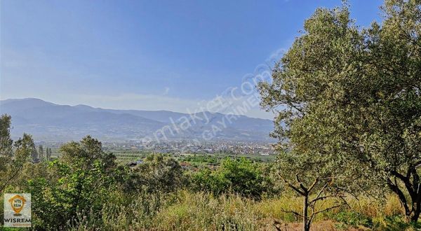 Geyve Sarıgazi Köyü 2.334 M2 Satılık Yola Cephe Manzaralı Bahçe