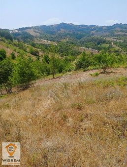 Yalova Altınova Yol Kenarı Satılık Tarla