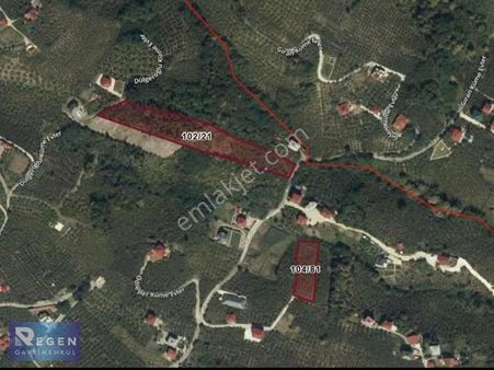 Regen Gayrimenkul'den Tos Köyünde Satılık 8 Dönüm Arsa