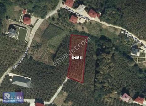 Regen Gayrimenkul'den Tos Köyünde Satılık 2 Dönüm Arsa