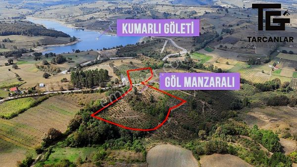 Tarcanlar'dan İzmit Güvercinlik'te Satılık 18 Dönüm Fındıklık