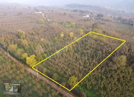 İlerin Gayrimenkul'den Y.çarığıkuru 'nda Satılık Fındık Bahçesi