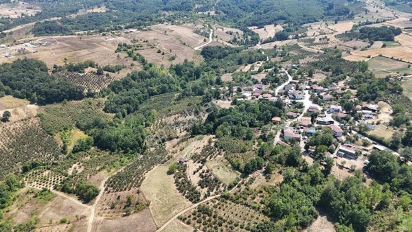 Tarcanlar'dan Kandıra Terzilerde Yatırıma Uygun 6726m2 Fındıklık