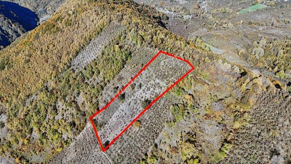 Ruşen Aydın Gayrimenkul'den Kaynaşlı Tavak Köyünde Satılık Arazi