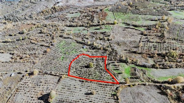 Ruşen Aydın Gayrimenkul'den Kaynaşlı Dipsizgöl'de Satılık Arazi