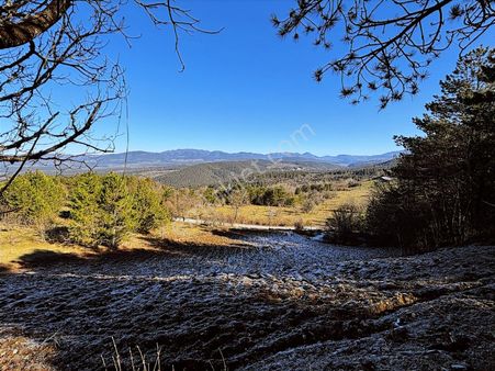 Mengen Kuzgölde Satılık Köyiçi Bitişik İki Parsel
