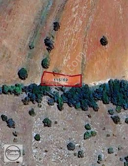 Demirland'dan Satılık Kireç Çiftliği Köyünde Kelepir Tarlalar