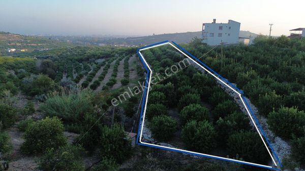2,322 M2 Arsa Deniz Manzaralı Villa İmarlı