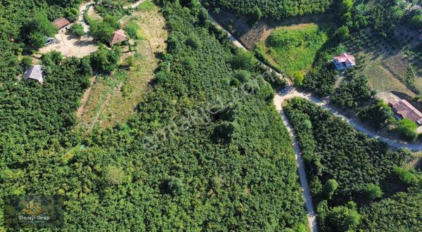 Harmnetepe Mahallesi'nde 3.3383 M2 Satılık Arsa