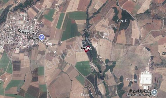 Karacabey Keşlikte Satılık Zeytinlik (acil Satılık Uygun Fiyat)