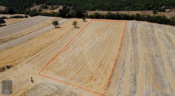 Hly'den Karakavak Mah.de Kadastral Yol Yanı Satılık 6750m2 Tarla