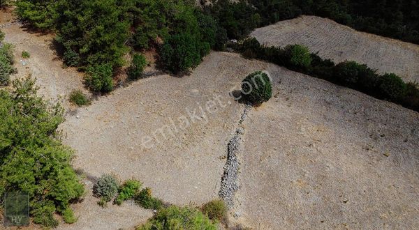 Hly'den Kepsut Eyüpbükünde Asfalt Yol Üzeri Satılık 1522m2 Tarla