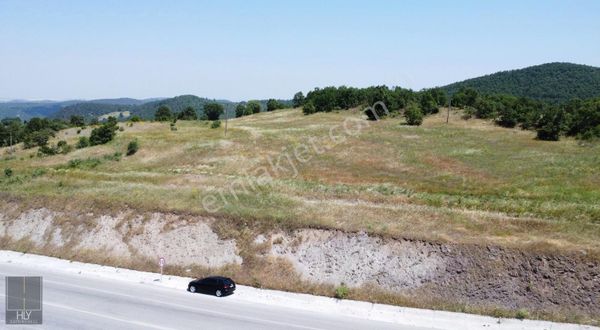 Hly Gayrimenkulden Kuyualan Mah.de 7310 M Satılık Tarla