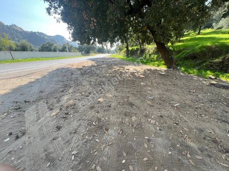 Aydın / Nazilli – Dereağzı Mahallesi Palamüttepe Mevkii – Asfalta Yürüme Mesafesinde