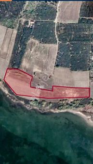 Aydın, Söke, Doğanbeyde Satılık Denize Sıfır 17.500 M2 Tarla