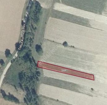 Kütahya Aslanapa'da 760 M2 Köye Yakın Satılık Tarla