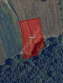 Kocaeli Körfez'de Tek Tapu Satılık 1500 M2 Arsa