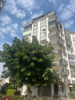 Lüx Ve Geniş Çatı Dubleksi Teras Keyfi İle Eşsiz Yaşam