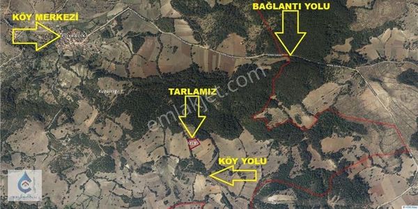 Balıkesir Dursunbey Poyracık Köyünde Satılık 3.653 M² Tarla