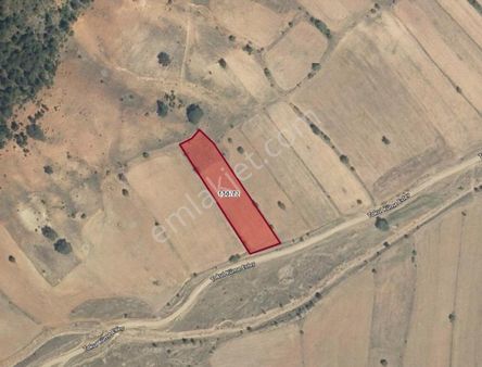 Kütahya Aslanapa'da 3.313 M2 Müstakil Tapulu Satılık Tarla