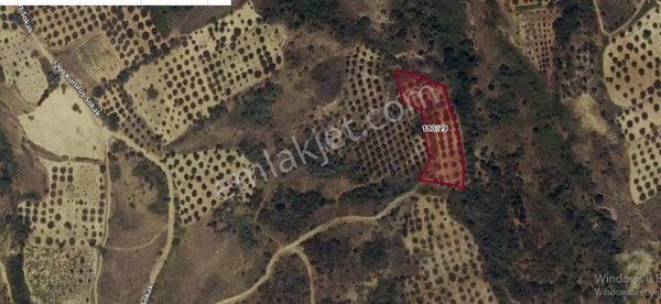 Tekirdağ Şarköy Yukarıkalamış Satılık Bağ , 2,288 M2 Müstakil Yolu Var