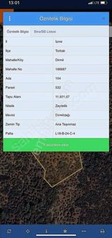 Tek Tapu Yatırıma Uygun