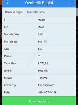 Milas Bafa'da Zeytinlik