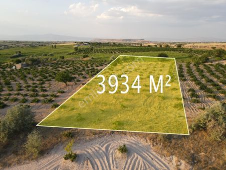 Şanlıbaba Emlak'tan Alacaşarda Satılık 3934 M² Bağ