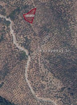 Satılık Full Deniz Manzaralı Tarla!