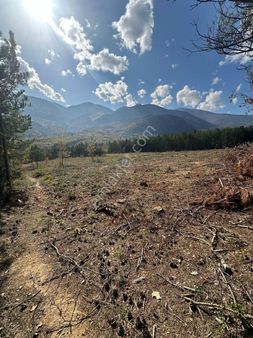 Kestel Orhaniye'de Güzel Konumda Satılık Tarla...
