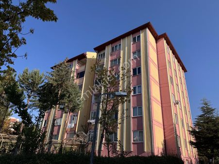 Şanlıbaba Emlaktan 2000 Evler Toki Bloklarında Kiralık 3+1 Daire