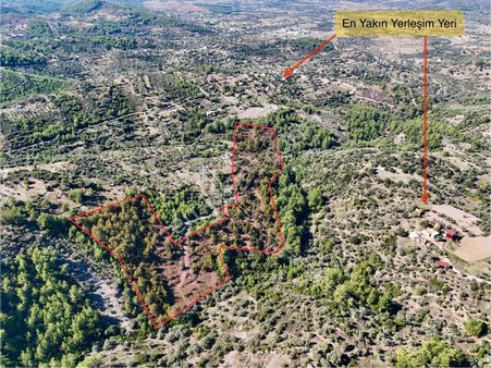 Yatırım Fırsatı: Milas Hasanlar’da 22.114 M² Zeytinlik Tarla