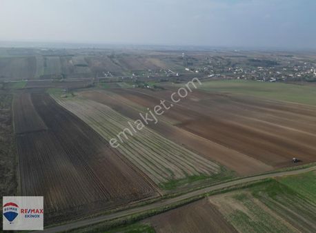 Ayvalı'da Yolu Mevcut, Elektrik Ve Su'ya 100 Mt 12.950 M2 Tarla