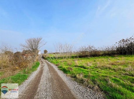 Hamitabat Köyünde 1 Dönüm 999 M2 İmarlı Arsa