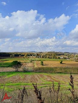 Derince Geredelide %35 İmarlı 1.659 M² Arsa Asfalt Cepheli