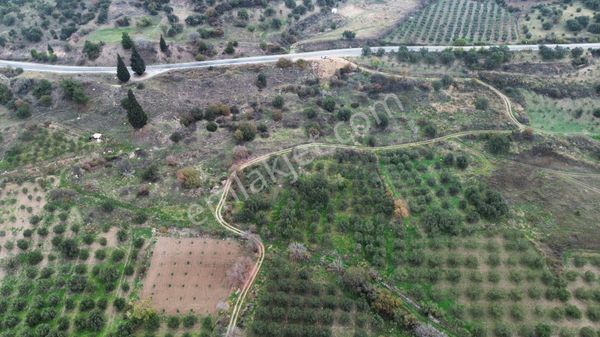 Muhteşem Akhisar Manzaralı Karabörklü'de Tek Tapu Satılık Arsa