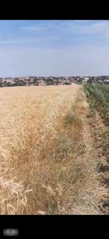 Kırklareli Merkez Kavaklı 6950 M2 Satılık Tarla