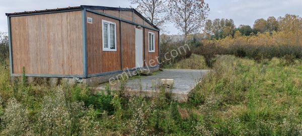 Samsun Terme Akbucak Da Satilik Sudan Ucuz Fındık Bahcesı