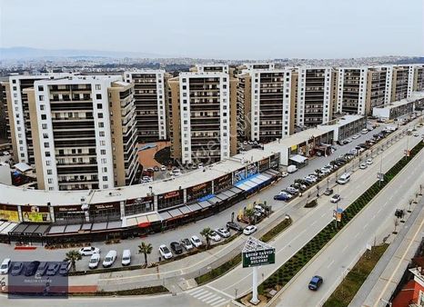 Magna Dan Prestij Modern Amerikan Mutfak 3+1 Cam Balkonlu Satılk