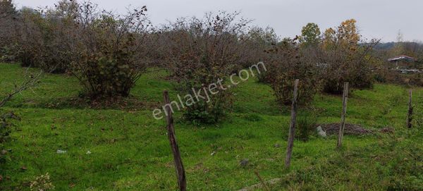 Samsun Terme Sakarli Merkezde Satilik Deniz Nanzaralı Ev Yeri Tarla