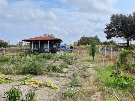 Küçükyoncalıda Satılık 1376m2 Tek Tapu Tarla İçinde Hazır Bahçe