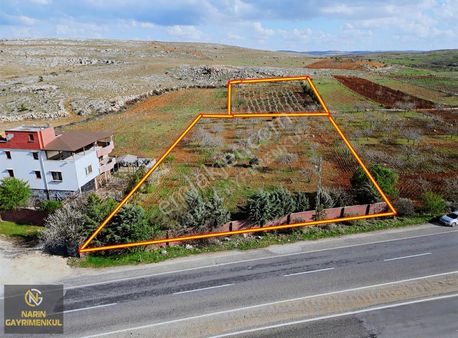 Şehitkamil Güngürge Köyünde Asfalt Üstü Fıstık Ve Zeytin Bahçesi