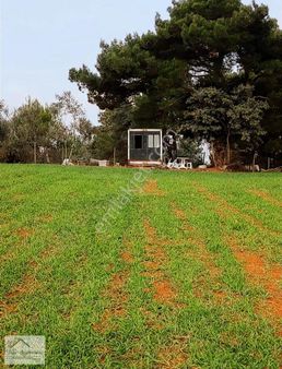 Acil Satılık Tarla Çanakkale Bayramiç