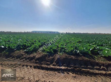 Karacabey Şahinköy De Asfalta 2.parsel Satılık Arazi