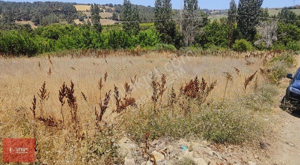 Çanakkale Lapseki Beybaş Da Yola Cepheli Kupon Tarla