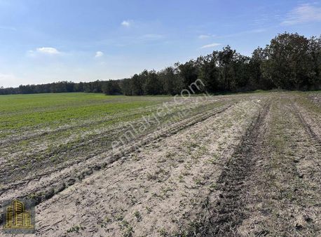 B.çavuşlu'da Tek Tapu 6.153 M2 Tarla - Yatırım Fırsatı !!